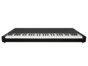 Crumar MOJO 61 - Lower Manual
