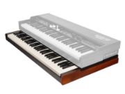 Crumar MOJO 61 - Lower Manual