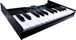 Roland K-25M KEYBOARD UNIT