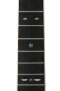 Yamaha LS36AREII