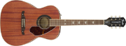 Fender Tim Armstrong Hellcat