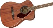Fender Tim Armstrong Hellcat