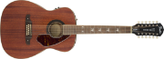 Fender Tim Armstrong Hellcat-12 String