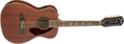 Fender Tim Armstrong Hellcat-12 String