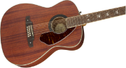 Fender Tim Armstrong Hellcat-12 String