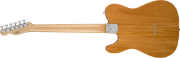 Fender Custom Shop Vintage Custom 1968 Telecaster® Thinline, Round-Laminated Maple Fingerboard, Aged Natural