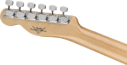Fender Custom Shop Vintage Custom 1968 Telecaster® Thinline, Round-Laminated Maple Fingerboard, Aged Natural