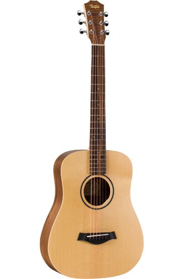 Taylor BT1