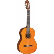 Yamaha CGX102A