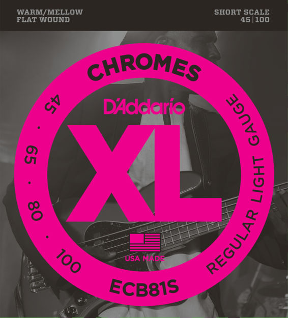 D'Addario ECB81S Chromes Bass Guitar Strings, Light, 45-100, Short Scale