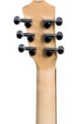 Taylor BT1