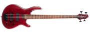 CORT B4 Element OPBR