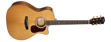 CORT Gold-A8 w/case LB