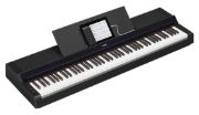 Yamaha P-S500B