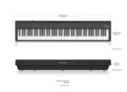 Roland FP-30X-BK 