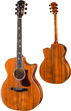 Eastman AC 622 KOA LTD