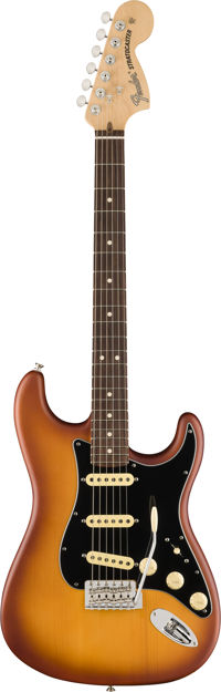 Fender American Performer Spruce Stratocaster, Rosewood Fingerboard, Honey Burst