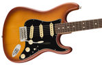 Fender American Performer Spruce Stratocaster, Rosewood Fingerboard, Honey Burst