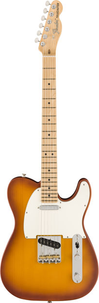 Fender American Performer Telecaster, Maple Fingerboard, Honey Burst