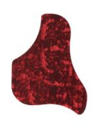Sire Guitars A4 Series Larry Carlton acoustic dreadnought guitar
