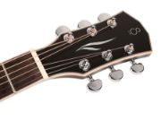 Sire Guitars A3 Series Larry Carlton acoustic dreadnought guitar with SIB electronics
