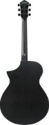 Ibanez AEWC621-BOT