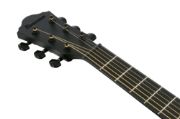 Ibanez AEWC621-BOT
