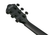 Ibanez AEWC621-BOT