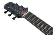 Ibanez AUP10FMNE-TBO