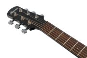 Ibanez AAM340CE-RUB
