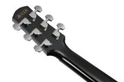 Ibanez AAM340CE-RUB