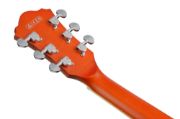 Ibanez AS73-TTF