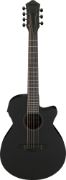 Ibanez AEG721-BOT