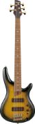 Ibanez SR4505-DST