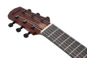 Ibanez AUP10N-OLB