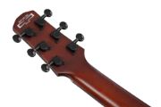 Ibanez AUP10N-OLB
