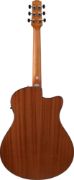 Ibanez AAM50LCE-OLB