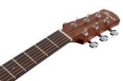 Ibanez AAM50LCE-OLB
