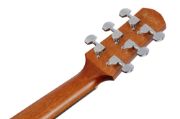 Ibanez AAM50LCE-OLB
