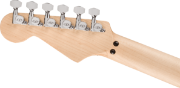 EVH Striped Series Circles MN White and Black
