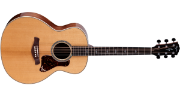 Taylor Gold Label 814e