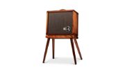 Taylor Circa 74 2-in-1 Acoustic Guitar/Vocal Amplifier + Amp Stand