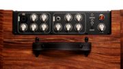 Taylor Circa 74 2-in-1 Acoustic Guitar/Vocal Amplifier + Amp Stand