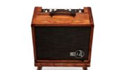 Taylor Circa 74 2-in-1 Acoustic Guitar/Vocal Amplifier + Amp Stand