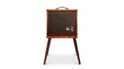 Taylor Circa 74 2-in-1 Acoustic Guitar/Vocal Amplifier + Amp Stand