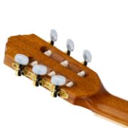Ortega RCE145NT Family Pro Series Nylonstrengsgitar m/ Mic