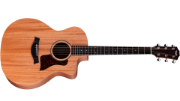 Taylor 24ce