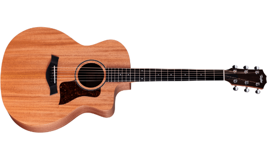 Taylor 24ce