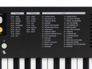 Medeli MK1/BK Nebula Series keyboard