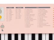 Medeli MK1/PK Nebula Series keyboard